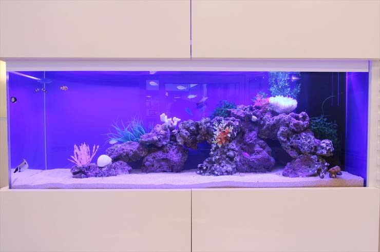 神奈川県相模原市 歯科クリニック様  120cm海水魚水槽  設置事例 水槽画像３