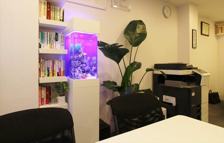吉祥寺　オフィス　30cm海水魚水槽　設置事例 水槽画像２