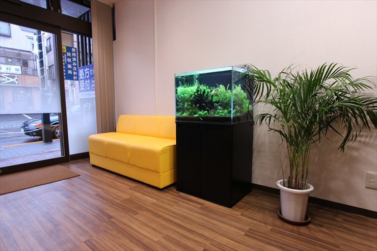 町田市　薬局の待合室　60cm淡水魚水槽　設置事例 水槽画像２