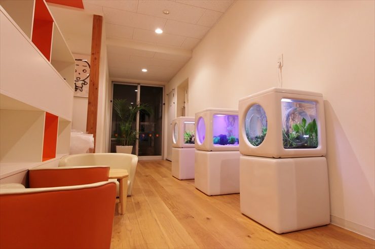東京都調布市　保育園に設置　3台の淡水魚水槽 販売事例 水槽画像１