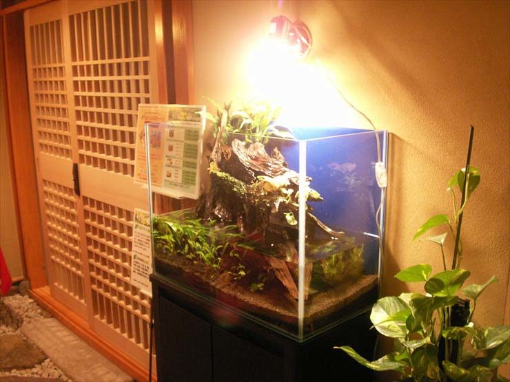 ホテルオークラ東京ベイ（利休）様  水槽設置事例 水槽画像１