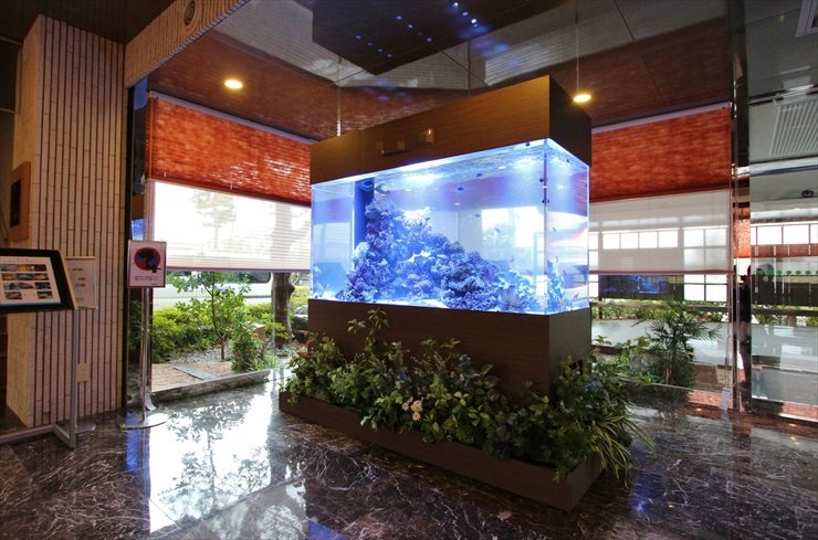 神奈川県藤沢市　オフィス　ロビーに設置　海水アクアリウム 水槽販売事例 水槽画像２