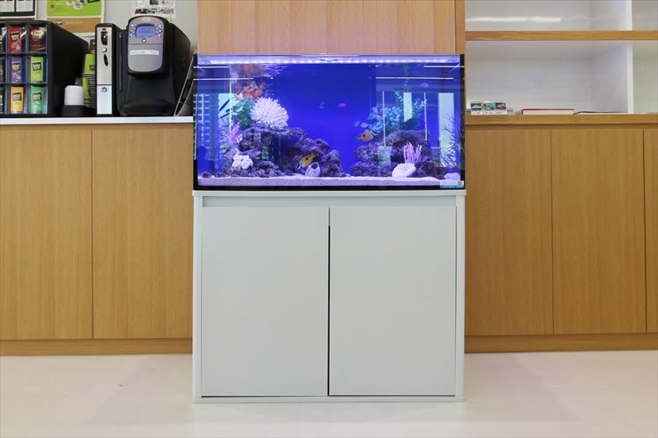 中央区銀座　不動産会社　90cm海水魚水槽　設置事例 水槽画像２