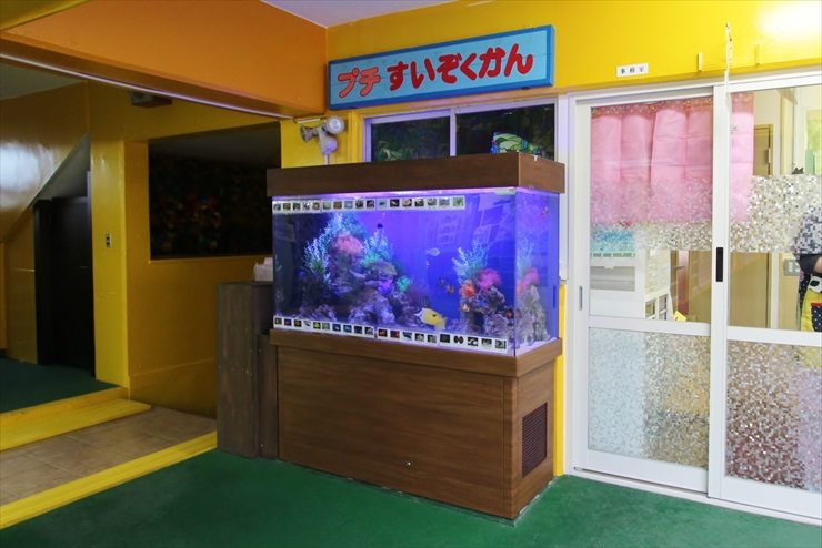 浦和めぐみ幼稚園様　150cm海水魚水槽　販売・設置・メンテナンス事例 水槽画像２
