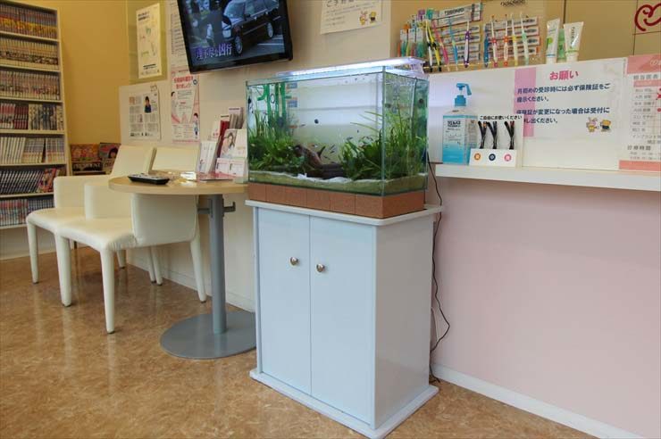神奈川県横浜市 歯科クリニック様  60cm淡水魚水槽  リニューアル事例 水槽画像３