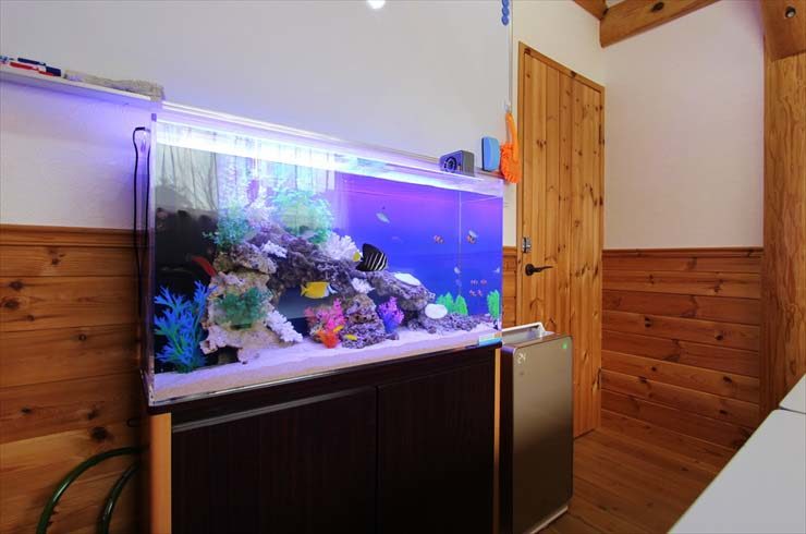 オフィスの打ち合わせルームに設置　 90cm海水魚水槽の事例　 水槽画像３