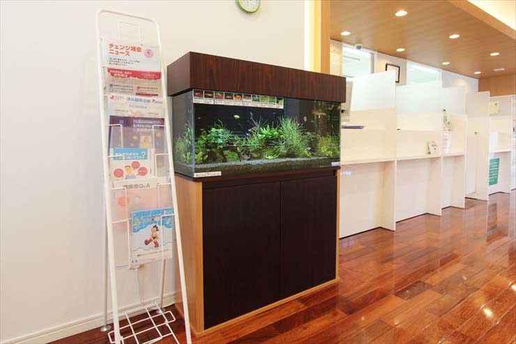 千葉県千葉市 薬局様  90cm淡水魚水槽  レンタル事例 水槽画像２