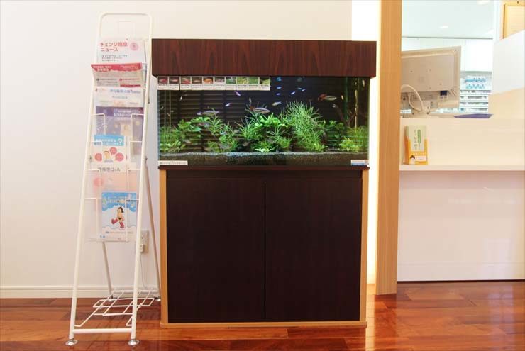 千葉県千葉市 薬局様  90cm淡水魚水槽  レンタル事例 水槽画像３