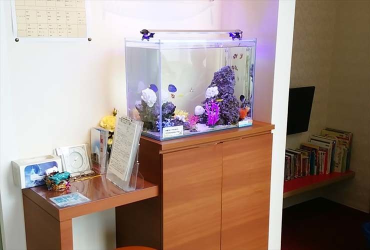 北海道札幌市 歯科医院様  60cm海水魚水槽  レンタル事例 水槽画像３