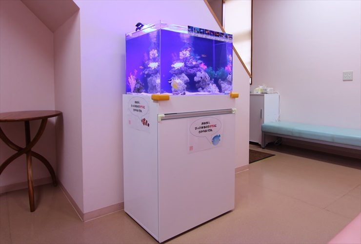 あきる野市 内科小児科クリニック様  60cm海水魚水槽  設置事例 水槽画像３