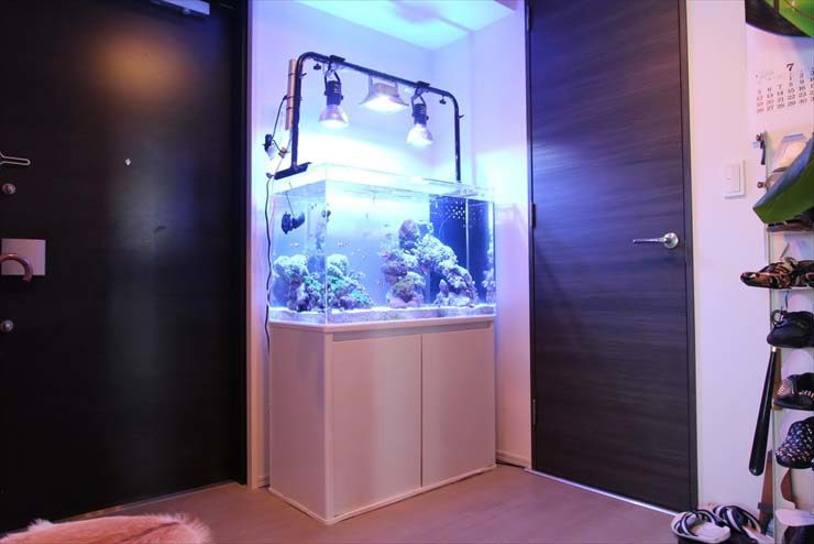 新宿 個人宅様  90cm海水魚水槽  設置事例 水槽画像２