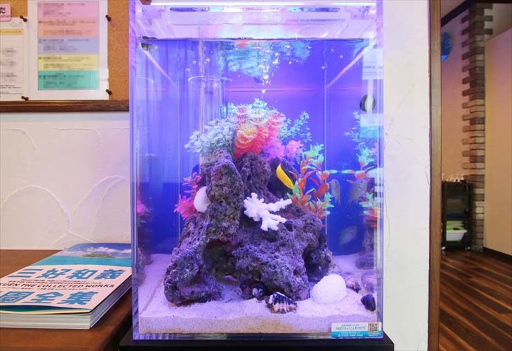 千葉県柏市 リラクゼーションサロン様 30cm海水魚水槽 レンタル事例 水槽画像１