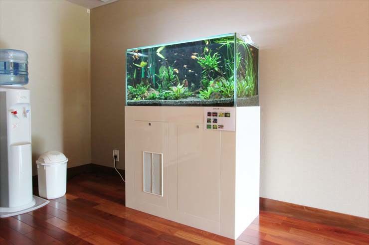 神奈川県鎌倉市  旅館様  90cm淡水魚水槽  設置事例 水槽画像２
