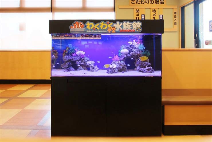 町田市  飲食店様  120cm海水魚水槽  設置事例 水槽画像３