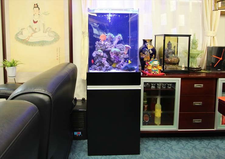 千代田区 企業様  45cm海水魚水槽  設置事例 水槽画像３