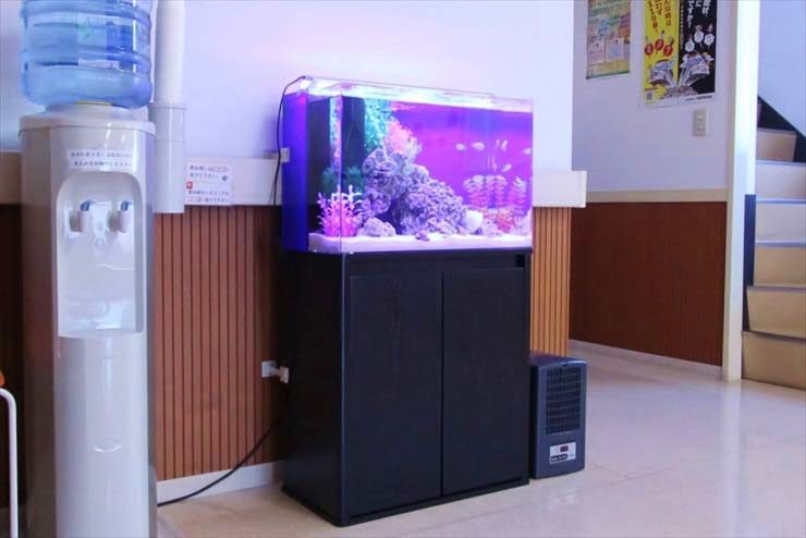 埼玉県三郷市  クリニック様  60cm海水魚水槽リース事例 水槽画像３