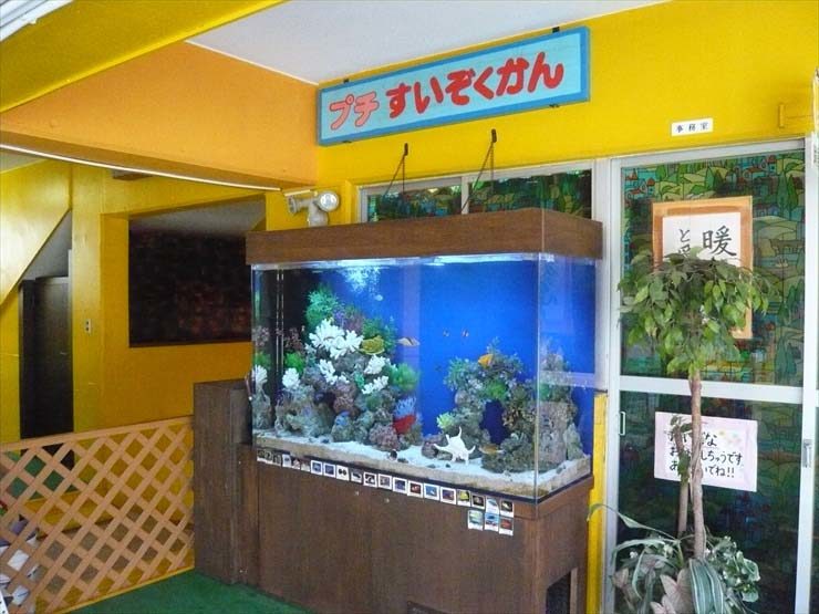 浦和めぐみ幼稚園様  150cm海水魚水槽  水槽販売・メンテナンス事例 水槽画像１