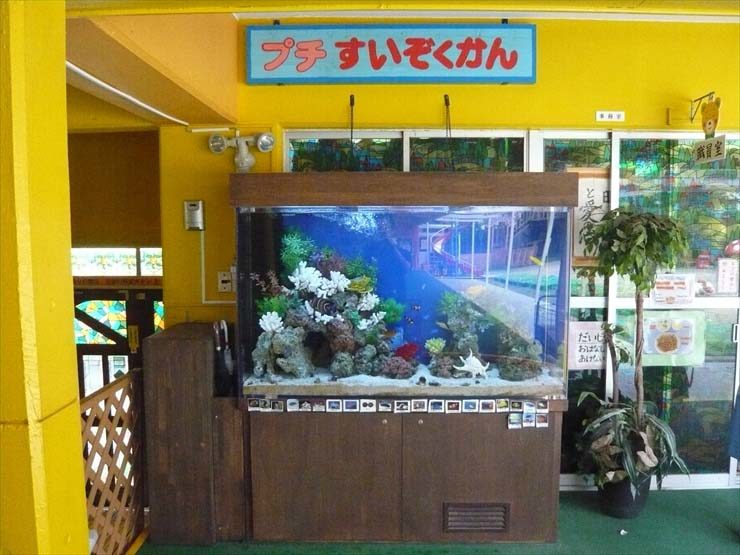 浦和めぐみ幼稚園様  150cm海水魚水槽  水槽販売・メンテナンス事例 水槽画像３
