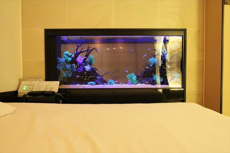 文京区  ホテル  180cm淡水魚水槽  販売・設置・メンテナンス事例 水槽画像２
