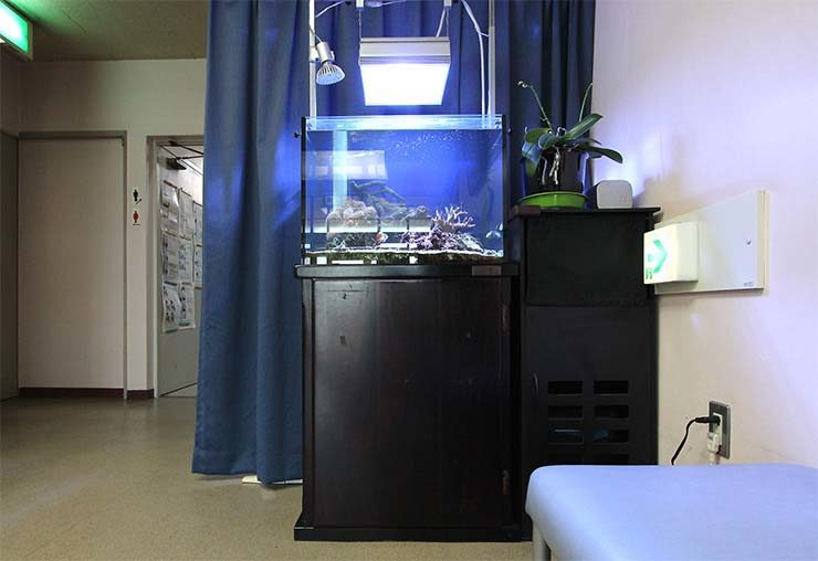 整形外科の待合室  60cm海水魚水槽  設置事例 水槽画像３