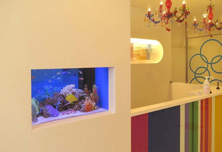 美容サロンの受付  60cm海水魚水槽  設置事例 水槽画像１