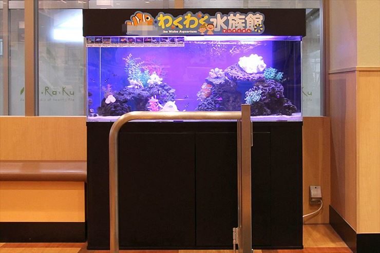 足立区  飲食店  120cm海水魚水槽  設置事例 水槽画像３