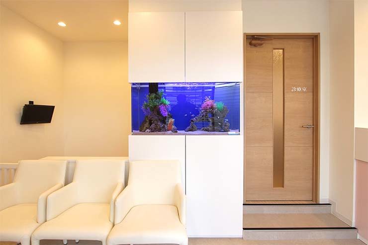 八王子市  歯科クリニック  110cm海水魚水槽リース事例 水槽画像３