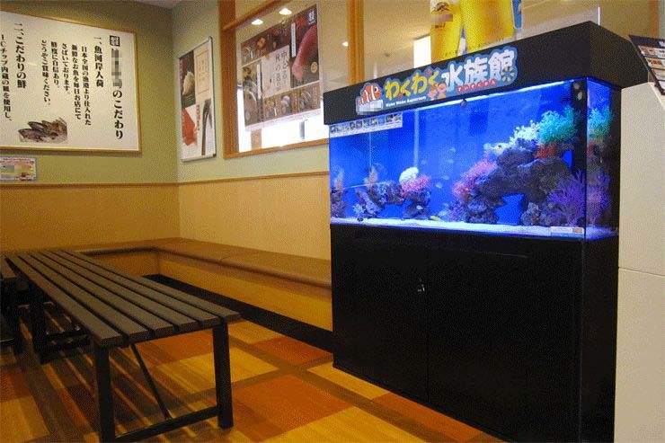 飲食店  待合スペース  120cm海水魚水槽  レンタル事例 水槽画像３
