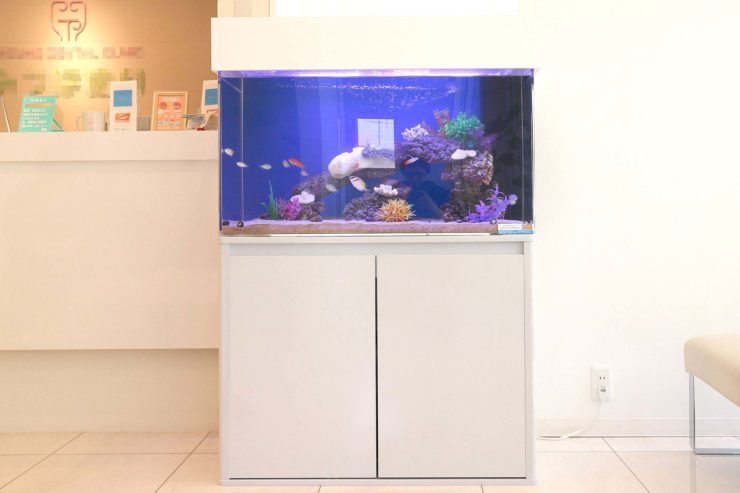大阪府交野市  歯科クリニック  90cm海水魚水槽レンタル事例 水槽画像２