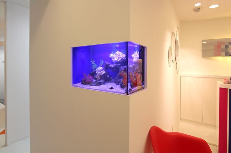 渋谷区  サロン  60cm海水魚水槽  設置事例 水槽画像３