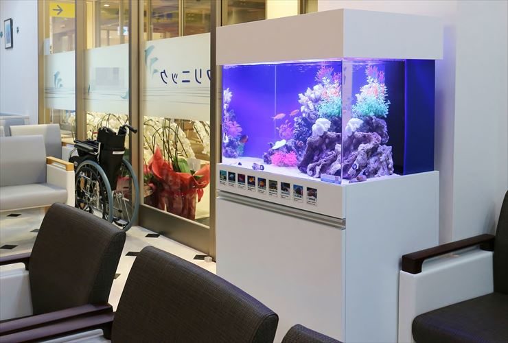 神奈川県藤沢市  眼科クリニック  60cm海水魚水槽  販売事例 水槽画像２