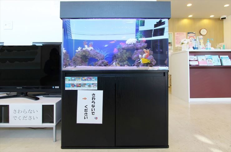 横浜市  診療所  待合スペース  90cm海水魚水槽  レンタル事例 水槽画像２