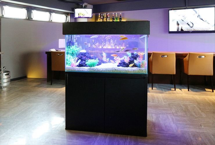 台東区  飲食店  90cm淡水魚水槽  水槽レンタル事例 水槽画像３