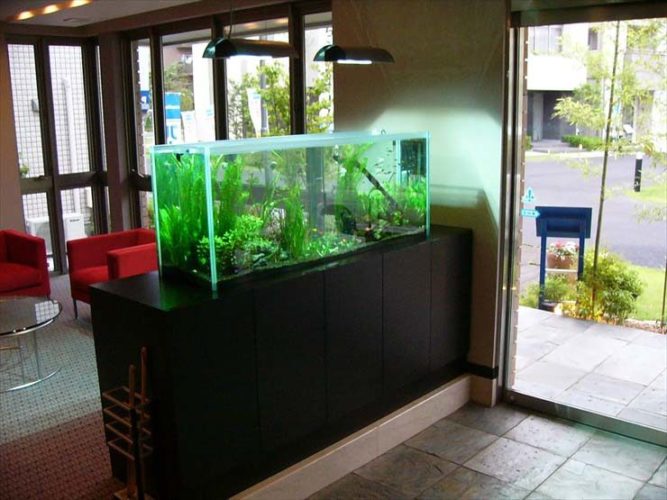 積水ハウス 埼玉南支店 様 150cm淡水魚水槽 設置事例 東京アクアガーデン