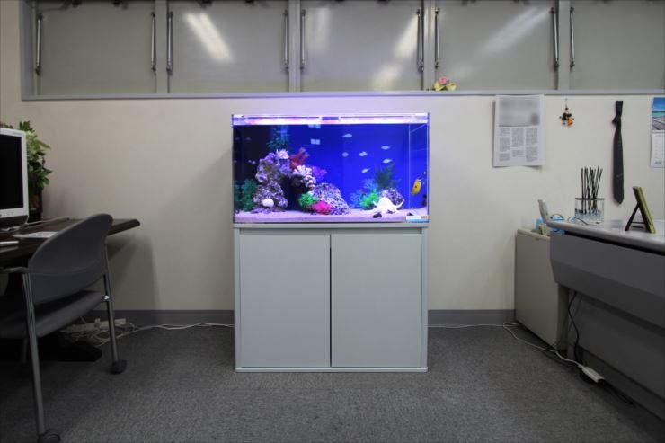 東京都豊島区 企業様  90cm海水魚水槽  設置事例 水槽画像３