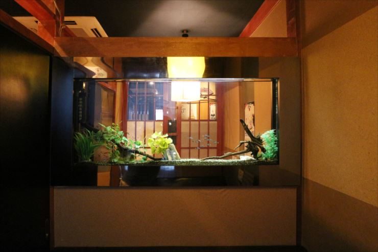 渋谷区　飲食店様　大型水槽　４台　メンテナンス事例 水槽画像２