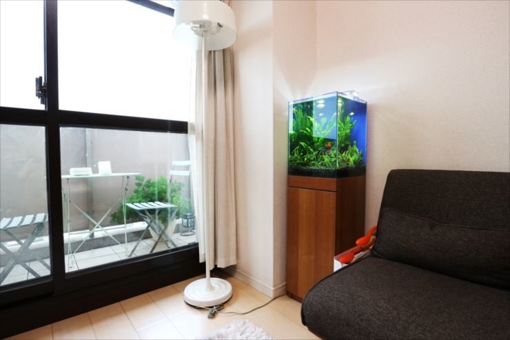 目黒区　個人宅のリビング　30cm小型淡水魚水槽　レンタル事例 水槽画像１