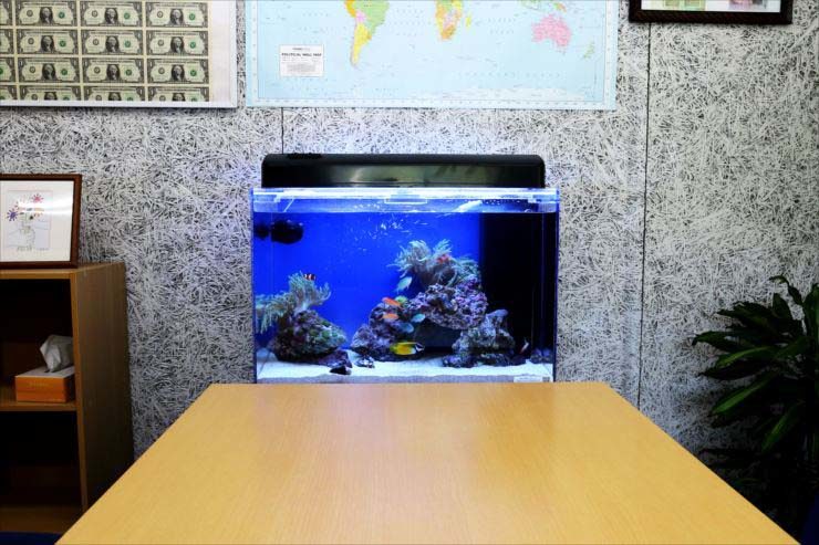オフィスの打ち合わせスペース　60cm海水魚水槽　設置事例 水槽画像３