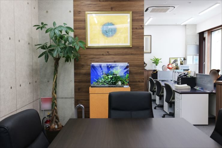 オフィス　応接スペースに設置　水草淡水アクアリウムの事例 水槽画像２