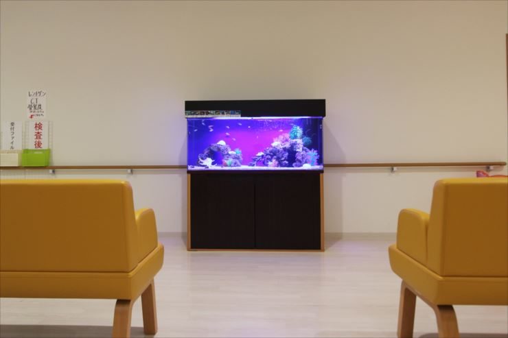 千葉県白井市　病院の待合室　120cm海水魚水槽　レンタル事例 水槽画像２