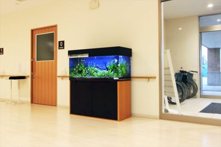 千葉県白井市　医療施設に設置　アクアリウム（120cm淡水魚水槽）のレンタル事例 水槽画像３