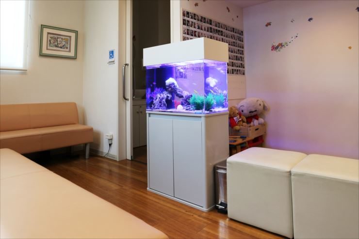 歯科医院の待合室　60cm海水魚水槽　水槽レンタル設置事例 メイン画像