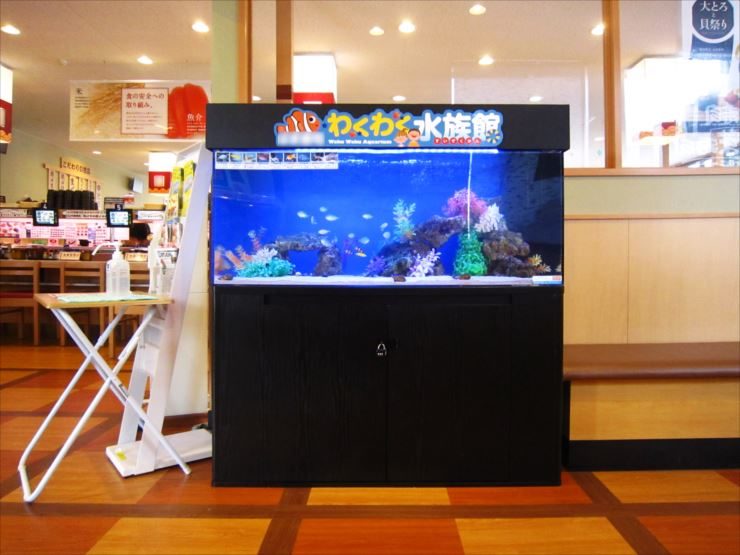飲食チェーン店の待合スペース　わくわく水族館　設置事例 水槽画像３