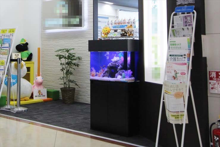 埼玉県　日高市　保険相談所　60cm海水魚水槽　レンタル事例 水槽画像３