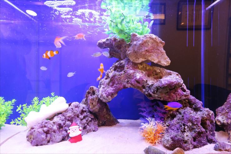 上品 鑑賞魚 インテリア ファンタジー 熱帯魚 オーナメント レイアウト 装飾 水槽 R-Pet オブジェ new アクセサリー アクアリウム