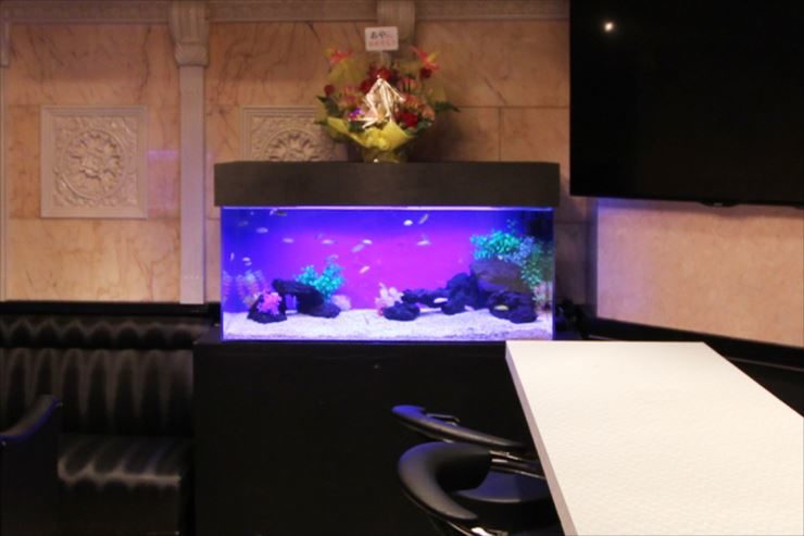 新宿　飲食店に設置　90cm淡水水槽と120cm淡水水槽 水槽画像３