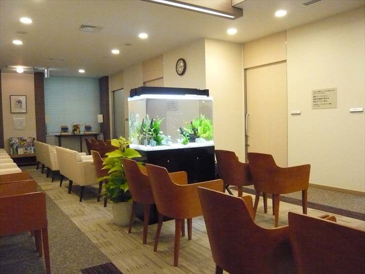 新宿区 検診センター様 90cm淡水魚水槽 レンタル事例 水槽画像１