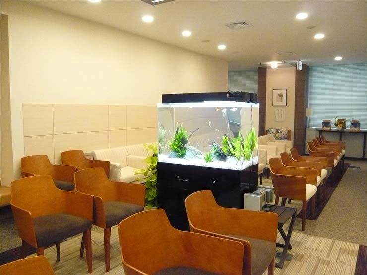 新宿区 検診センター様 90cm淡水魚水槽 レンタル事例 水槽画像２