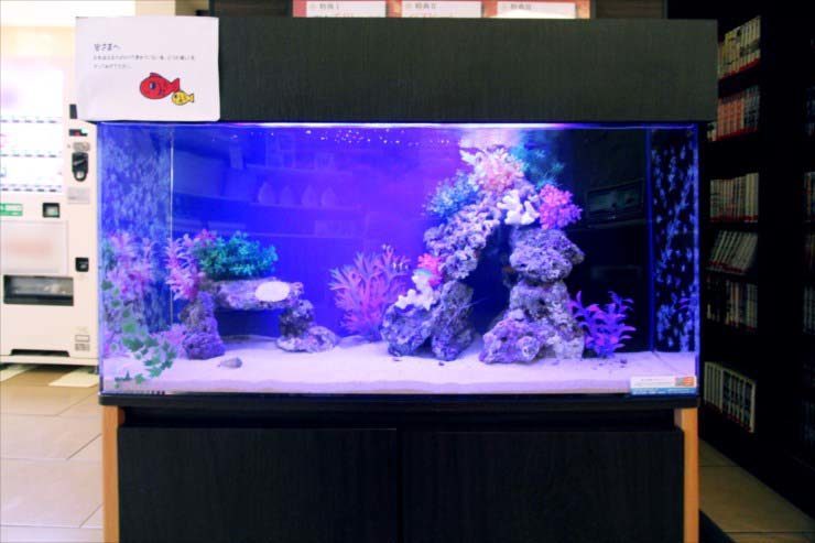 神奈川県厚木市　宿泊施設に設置　90cm海水魚水槽 レンタル事例 水槽画像２