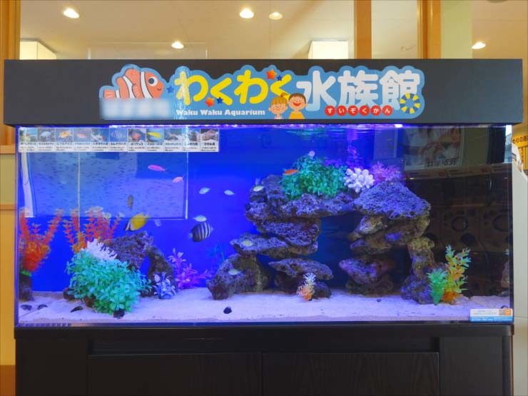 飲食店（回転寿司）待合スペース　120cm海水魚水槽　設置事例 水槽画像２